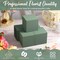 18 Pcs Floral Foam Blocks 3.15" Dry and Wet Flower Blocks for Artificial and Fresh Flowers Green Foam for Flower Arrangements Plant Florist Bricks for Wedding Mother's Day Summer Party Decor